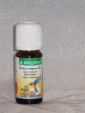 Blutorangenl (Pampelmusenl) 10ml